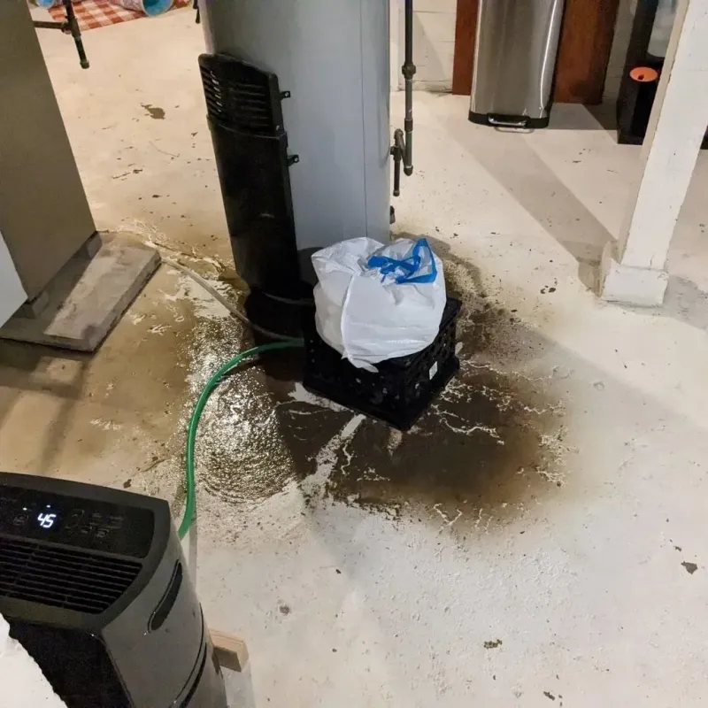 Sewage Backup Cleanup Service in Highland Heights, OH
